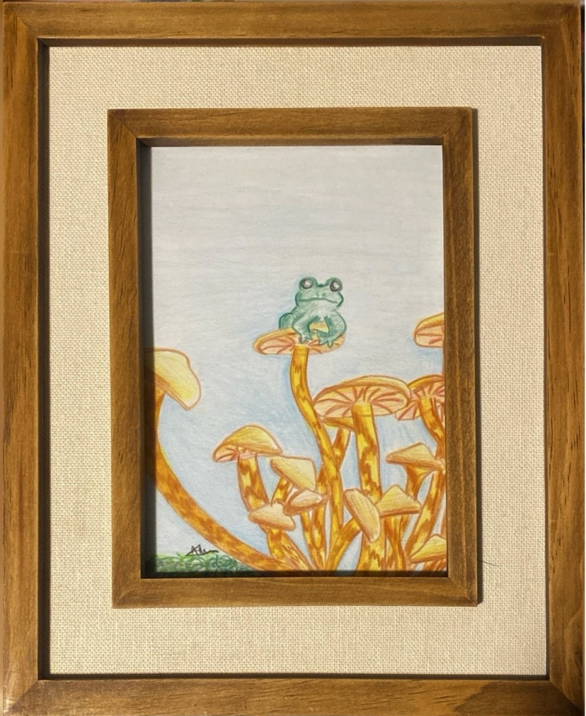 Mushroom Frog Drawing